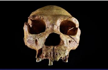 Ilmuwan Ungkap Bukti Manusia Paling Awal yang Tinggal di Inggris 600 Ribu Tahun Lalu