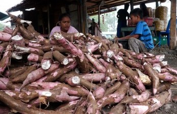 Warung pokok ubi