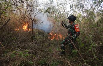 In Picture: Puluhan Hektar Hutan di Lereng Gunung Ciremai Hangus Terbakar