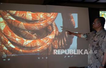 Milenial Semakin Berani Tunjukkan Karya Video (ilustrasi)