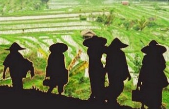 DPR Dukung Pemerintah Berlakukan Asuransi ke Petani