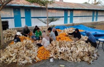  PLN Sulap Limbah Jagung Jadi Listrik, Petani Tuban Dapat Tambahan Penghasilan