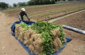 Bantul Targetkan Satu Desa Satu Gabungan Kelompok Tani