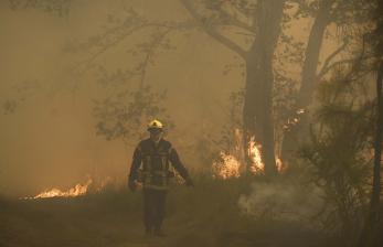 Prancis Terus Dilanda Kebakaran Hutan