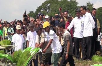 Siapkan Musim Tanam 2016, Kementan Tender Benih Bulan Depan