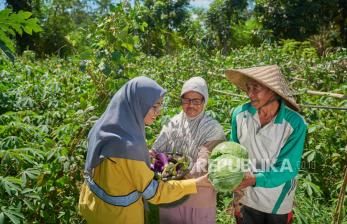 Program Pertanian Organik Sumbawa Timur Mining Tingkatkan Hasil Panen Petani Lokal