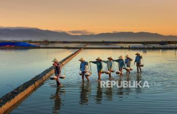 Hingga April 2025, BRI Salurkan KUR Rp 54,9 Triliun untuk Jutaan Debitur