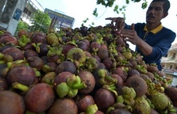 Mentan Sampaikan Kinerja Bidang Pertanian kepada Wapres