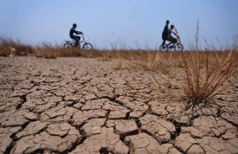 Salah satu kawasan yang dilanda kekeringan (ilustrasi). Kepala Badan Meteorologi, Klimatologi, dan Geofisika (BMKG) Dwikorita Karnawati mengatakan kekeringan adalah dampak nyata perubahan iklim yang terjadi secara global tidak hanya di negara-negara maju saja melainkan juga negara-negara berkembang.