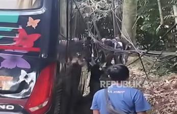 Viral Bus Terobos Jalan Terlarang di Lembang hingga Tersangkut Kabel Udara