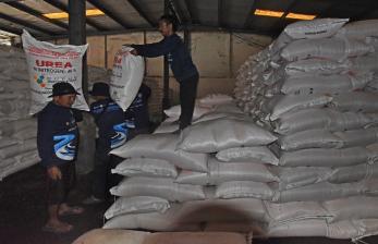 Sejumlah pekerja mengangkut pupuk bersubsidi di gudang PT Pupuk Indonesia (ilustrasi).