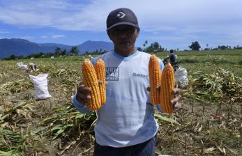 Upaya Meningkatkan Pendapatan Keluarga Petani di Indonesia Timur