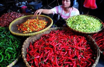 Seorang pedagang menata dagangan cabainya. (ilustrasi) Pedagang mengeluhkan harga cabai rawit dan bawang merah yang masih tinggi di pasaran. 