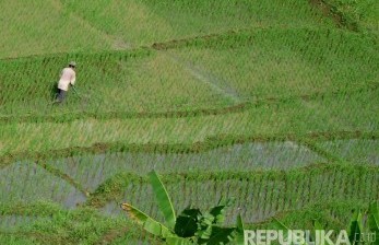 Kementan: Indonesia Terancam Kehilangan Petani