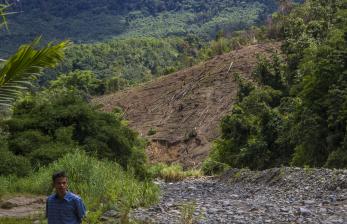 Seorang warga berjalan di permukiman penduduk di kaki Pegunungan Meratus, Desa Datar Ajab, Kabupaten Hulu Sungai Tengah, Kalimantan Selatan, Kamis (25/11/2021). Balai Pemantapan Kawasan Hutan (BPKH) Wilayah V Banjarbaru mencatat selama tiga tahun terakhir luasan hutan di Kalimantan Selatan berkurang mencapai 30 ribu hektare lebih akibat alih fungsi menjadi perkebunan dan pertambangan.