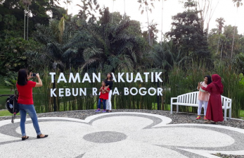 Taman Akuatik Kebun Raya Bogor Jadi Spot Foto Pengunjung 