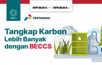 Tangkap Karbon Lebih Banyak dengan BECCS