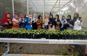 Dari Sawah ke Sosmed, Kisah KWT Seruni Menyapa Era Digital