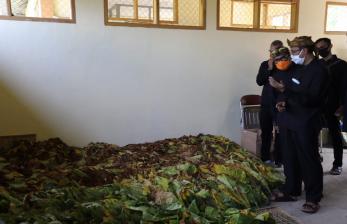 Gudang tembakau (Ilustrasi)