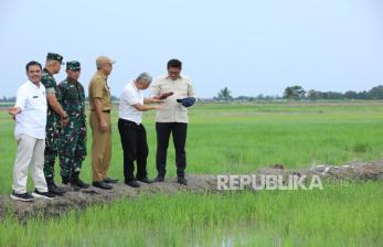 In Picture: Wamentan Sudaryono Dorong Sumsel Capai Optimalisasi Lahan Rawa 106 Ribu Hektar 