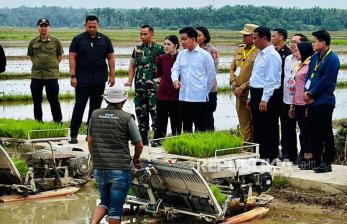 In Picture: Wapres Gibran Bersama Mentan Amran Tinjau Penanaman Padi di Langkat