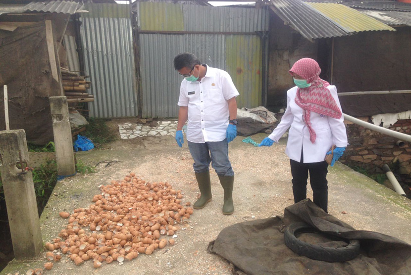 Dinas Pangan dan Pertanian Kota Cimahi  mengecek kondisi unggas jenis itik yang mati mendadak. (Ilustrasi)