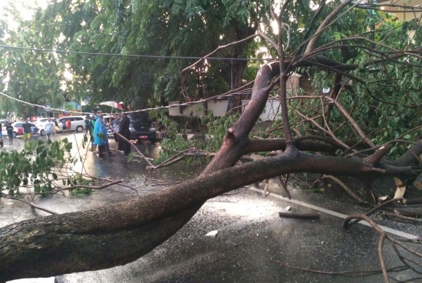                         Dua pohon tumbang di Jalan Tebet Timur Dalam dan Jalan Tebet Raya, Tebet, Jakarta Selatan, memutus kabel listrik dan menutup akses jalan, Selasa (28/3) pukul 16.00 WIB. 