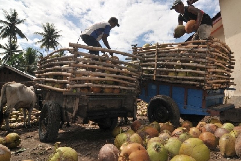 . Dua pekerja menurunkan buah kelapa dalam yang baru tiba dari kebun warga ke atas truk di Desa Pewunu, Kec. Dolo Barat, Kab. Sigi, Sulawesi Tengah