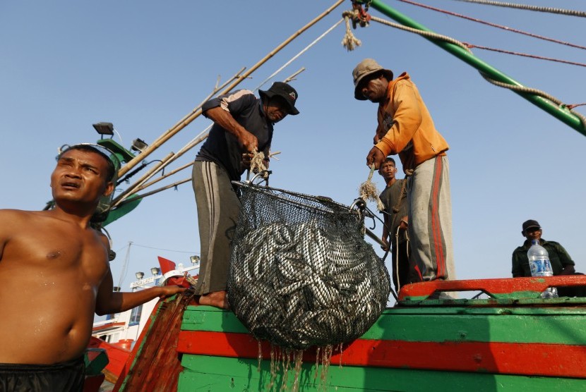 Aktivitas nelayan saat bongkar muat hasil tangkapan ikan laut , (ilustrasi).