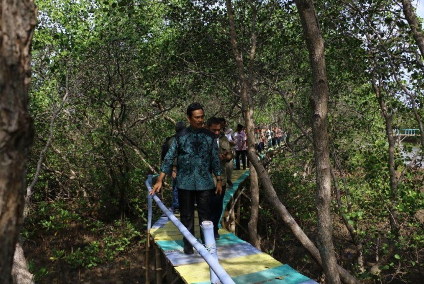 Wisata Mangrove Bawean Dorong Peningkatan Ekonomi Warga