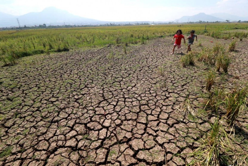  Kekeringan dan krisis air bersih terjadi di Kabupaten Cirebon