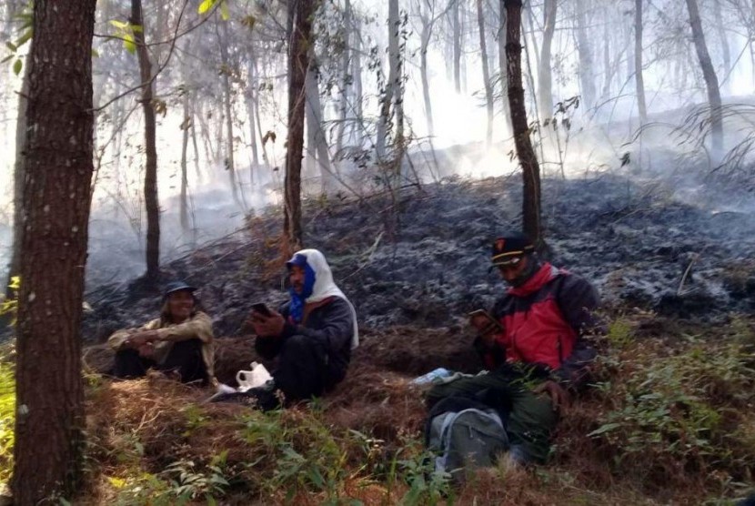 Gunung Lawu: Kebakaran Gunung Lawu Padam, Jalur Pendakian Masih Ditutup