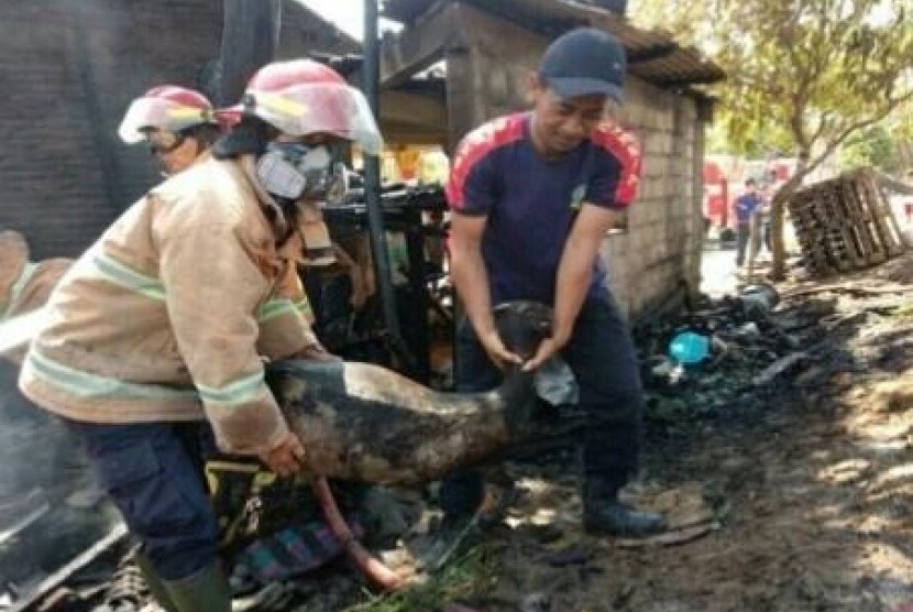  Petugas mengevakuasi kambing yang terpanggang. Dok. Polres Sukoharjo