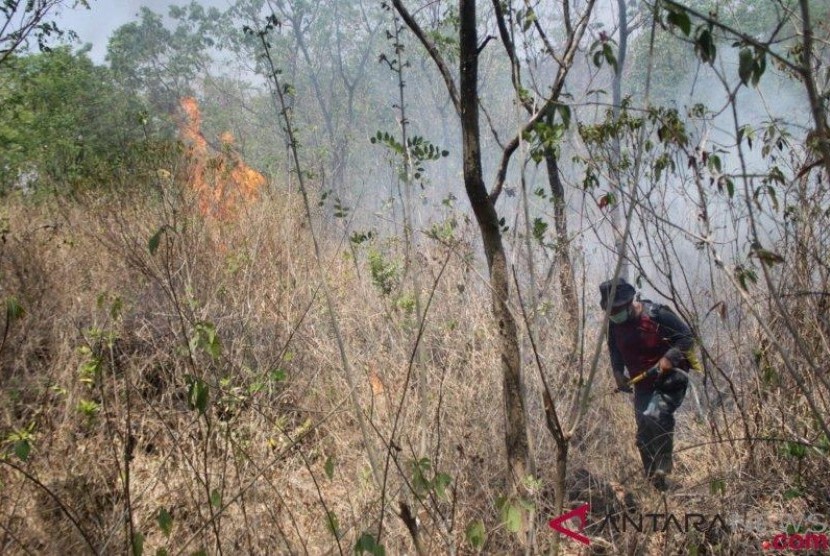  Api yang membakar hutan di Gunung Ciremai disebut telah padam