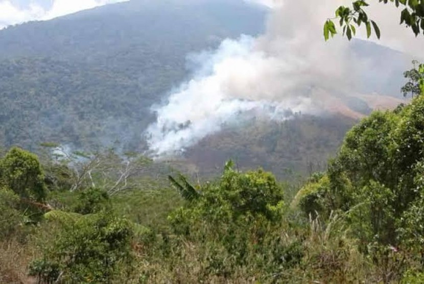  Kebakaran kembali melanda hutan di Gunung Ciremai