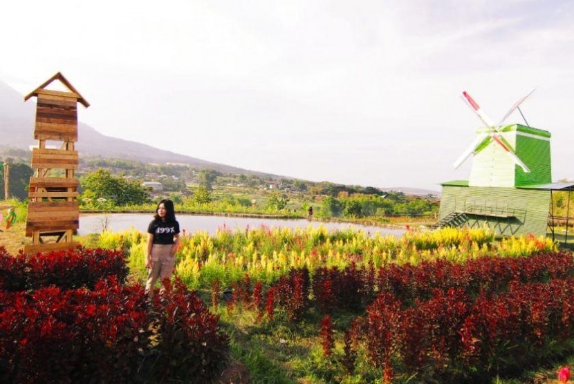 Taman Bunga Adn Firdaus di Pasuruan jadi tujuan wisata