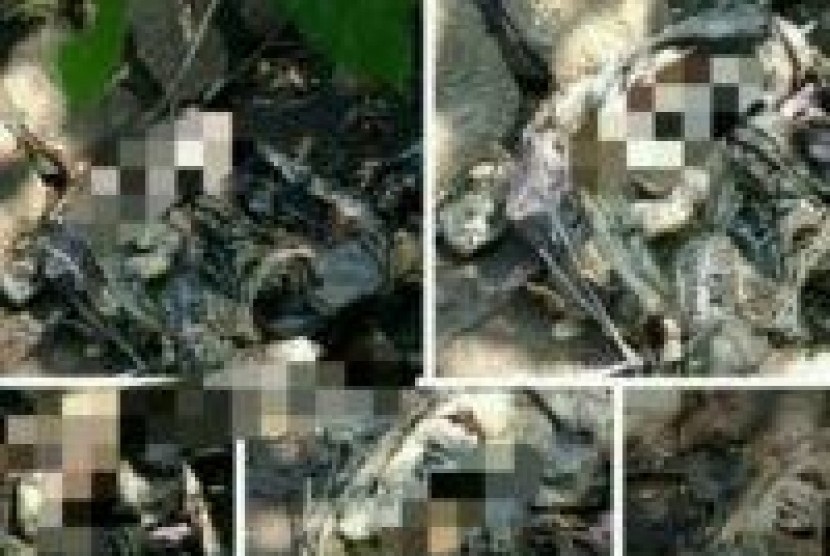  Kondisi mayat bayi membusuk yang ditemukan dalam kardus dekat Waduk lalung, Karanganyar, Jumat (14/2/2020). Foto/FB