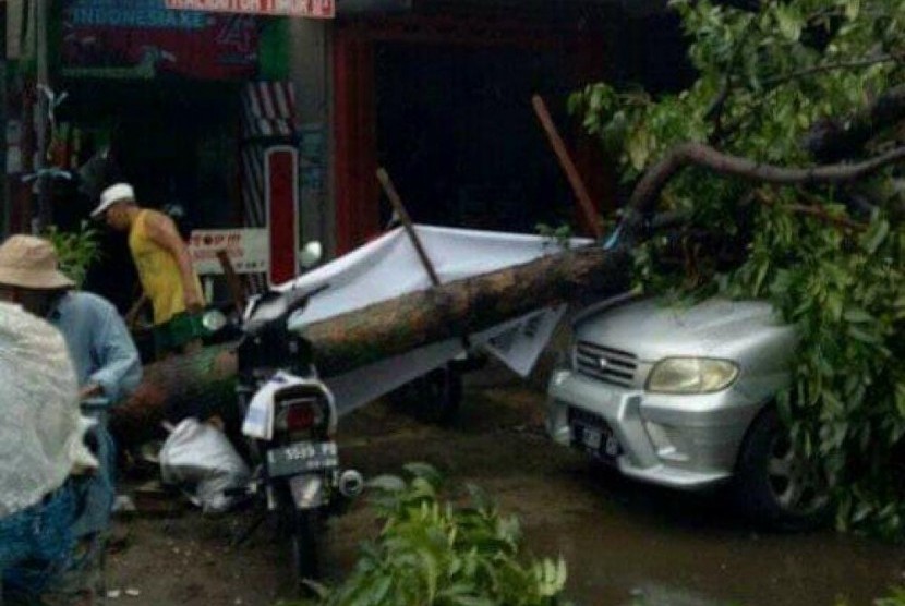 Mobil Taruna yang ringsek tertimpa pohon di Surabaya.