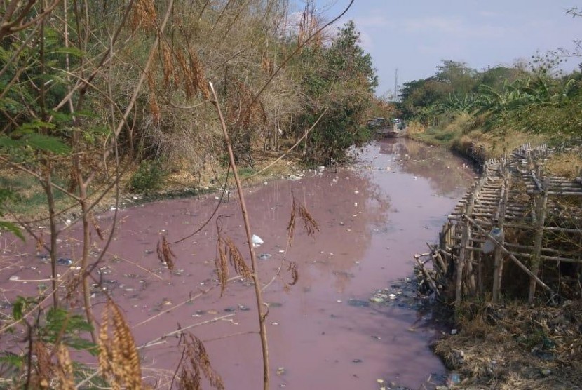 Sungai Ciberes Tercemar: Air Sungai Ciberes Cirebon Berwarna Merah Muda
