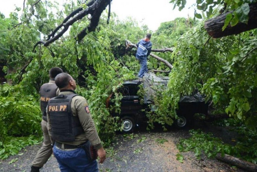 Hari ini, Sejumlah Kota di Jawa Timur Waspada Hujan Angin