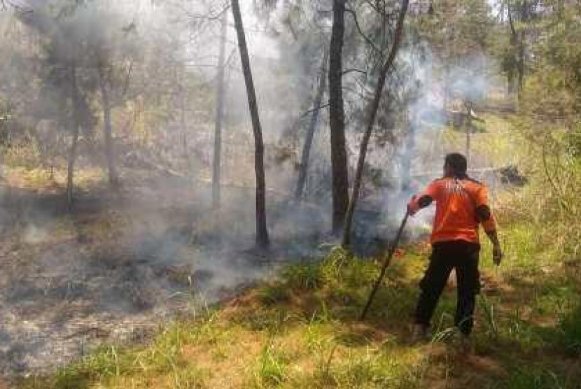 Tim relawan saat memadamkan sisa api yang membakar lereng Gunung Lawu. Foto/Wardoyo