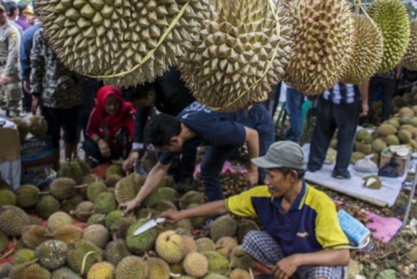 Durian Indonesia Kalah Saing dari Malaysia dan Thailand di China, Ini Sebabnya!. (FOTO: Nurul Ramadhan)