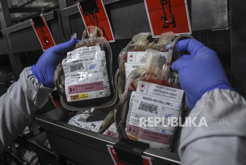 Petugas Palang Merah Indonesia (PMI) menata stok darah. (Ilustrasi) 