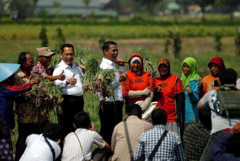 Menteri Pertanian, Amran Sulaiman (kelima kiri) didampingi Dirut Perum Bulog, Budi Waseso (keempat kiri) menggotong bawang merah usai panen raya di Desa Jagalempeni, Brebes, Jawa Tengah, Rabu (1/8).