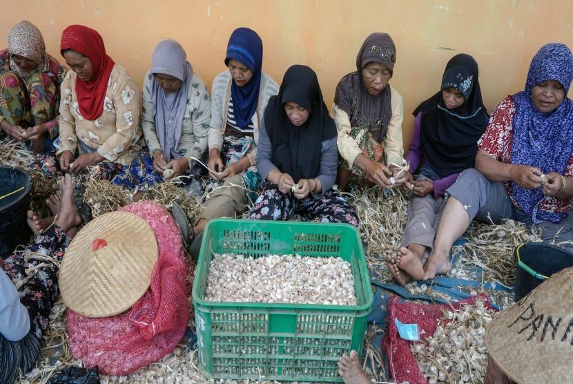 Sejumlah buruh mengupas kulit bawang putih di Bawang, Batang, Jawa Tengah, Kamis (6/9).