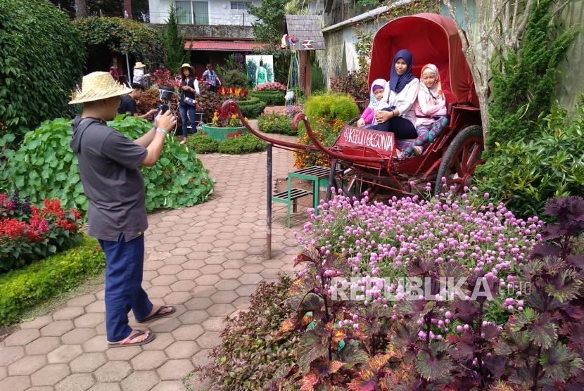 Aktivitas pengunjung di tempat wisata Taman Bunga Begonia, Jalan Maribaya, Kecamatan Lembang, Kabupaten Bandung Barat, Jumat (7/6).