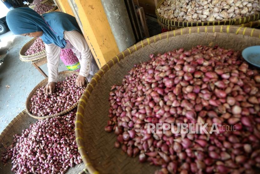 Bawang merah.