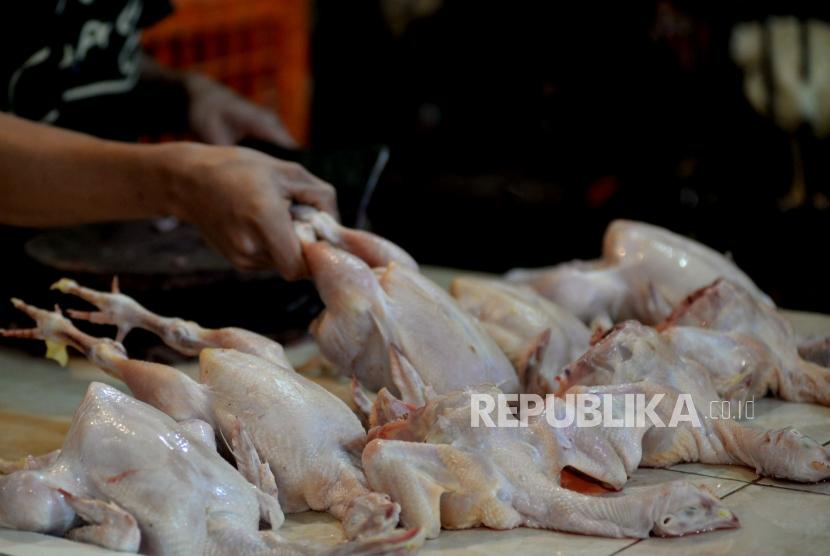 Pedagang menata ayam potong jualannya. Pasar berisiko tinggi tercemar virus flu burung karena banyaknya unggas yang dijual dan dipotong di sana.