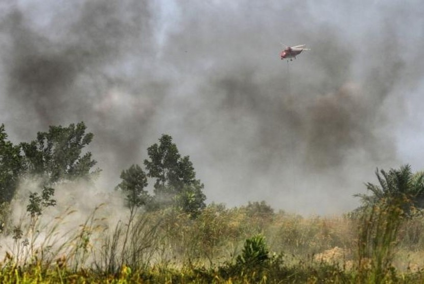 Astaghfirullah, Ada 816 Titik Panas Karhutla, Ini Sebarannya!. (FOTO: Rony Muharrman)