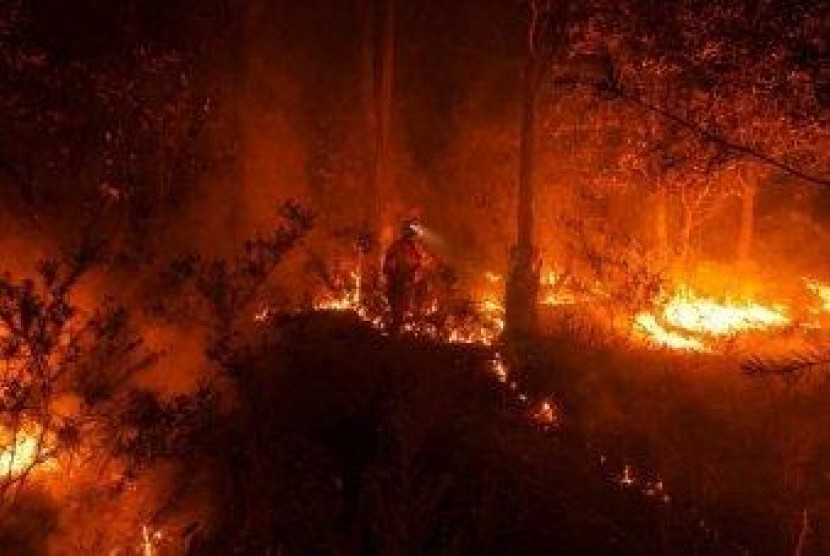 Kebakaran di New South Wales